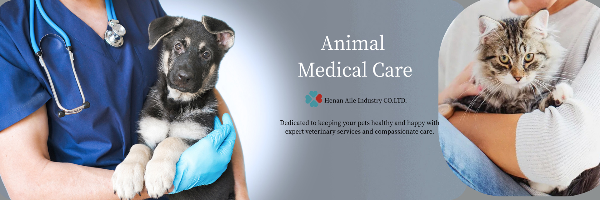 품질 진공 채혈 시스템 공장