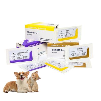 주문 병원 수술 일회용 평면 콧수염 의료 꿰매는 바늘 PGA/pdo/실크/나일론/ 콧수염 비생성 수술 꿰매 온라인 제품