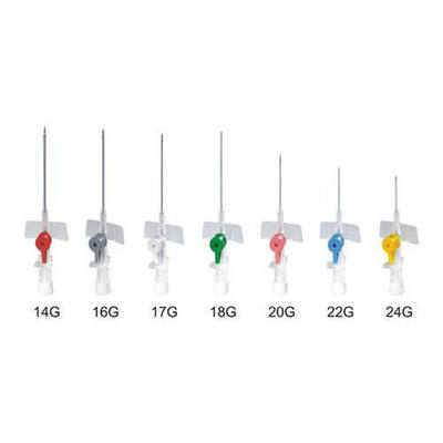 좋은 가격 Disposable Butterfly IV Cannula with Winged Design for Easy Insertion and Secure Placement 온라인으로